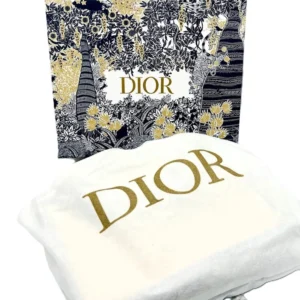 کیف دستی زنانه Christian Dior VEA-M1