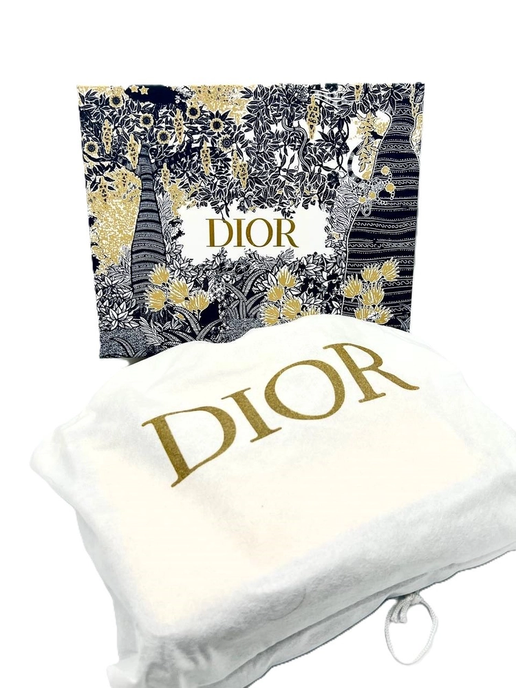کیف دستی زنانه Christian Dior VEA-M1