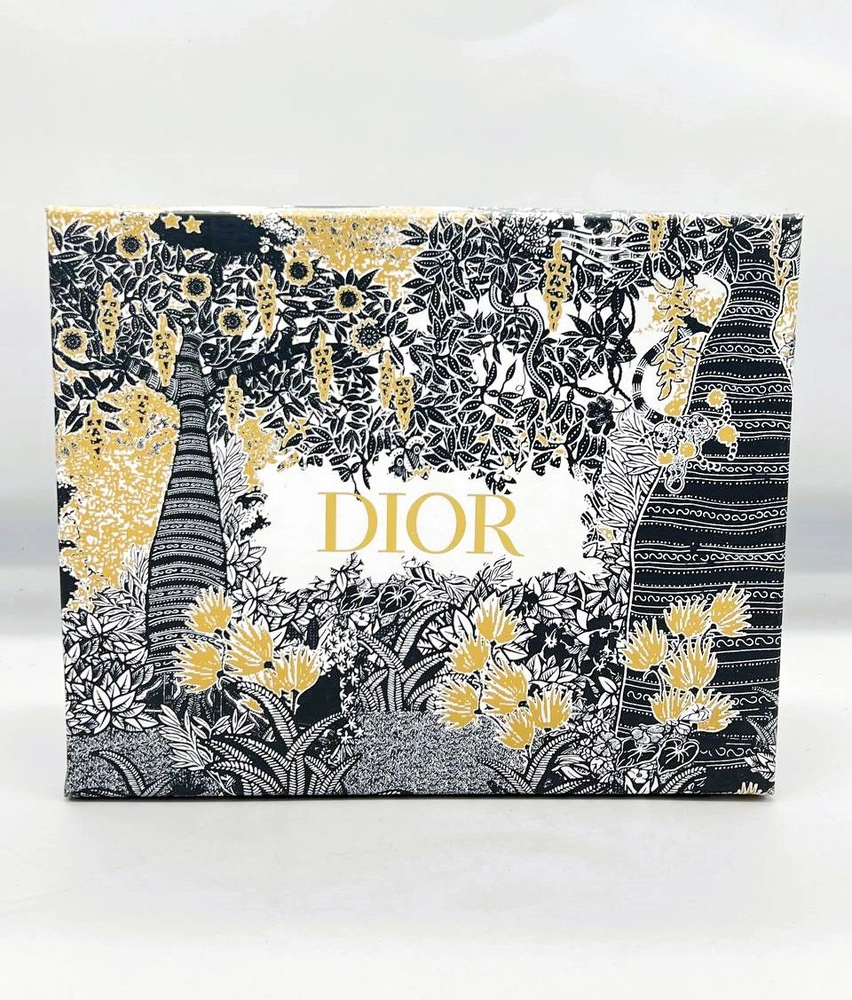 کیف دستی زنانه Christian Dior VEA-M1